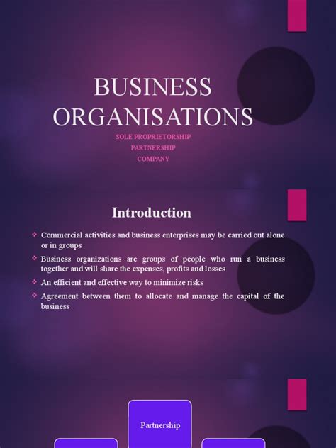 LAW416 (Business Organization) | PDF | Law Of Agency | Partnership