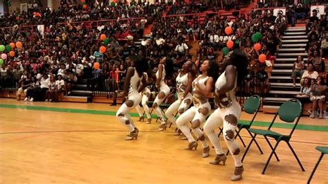 FAMU DIAMOND DANCERS - YouTube