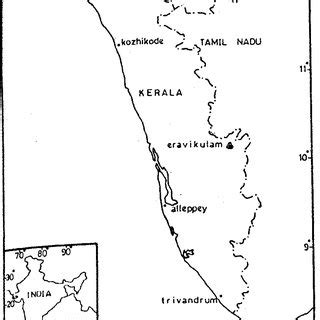 Vegetation map of Eravikulam and surroundings (prepared from IRS LISS 2 ...