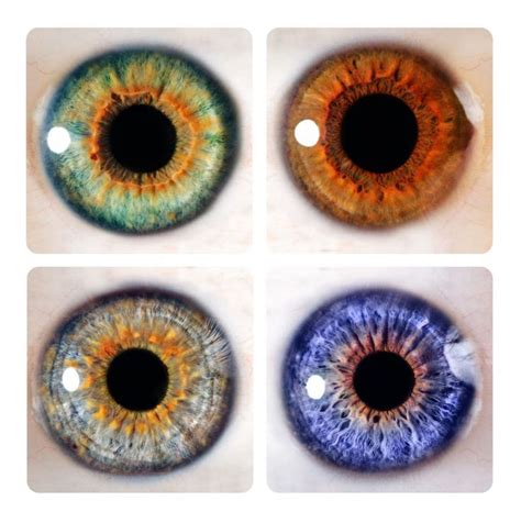 Study reveals eye color and iris pattern is connected to personality ...