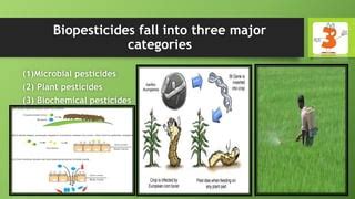 Biopesticide