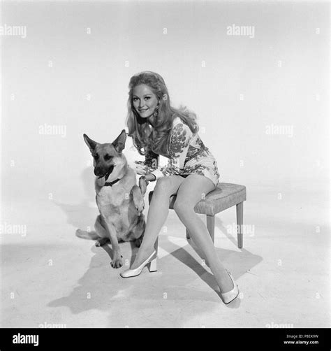 Scars of Dracula (1970) Jenny Hanley, Date: 1970 Stock Photo - Alamy