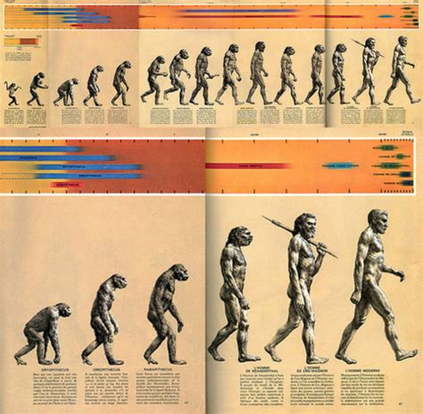 ¿Venimos del mono? El Darwin más incomprendido | OpenMind