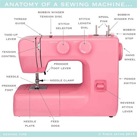 Anatomy of a Sewing Machine | Sewing machine, Sewing machine beginner ...