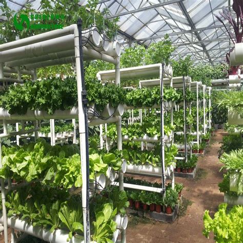 China Commercial Hydroponics Greenhouse with Vertical Nft PVC Pipe Photos & Pictures - Made-in ...