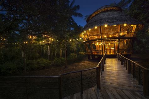 Treehouse Lodge Iquitos - Tree Top Canopy Bungalows With Peruvian ...