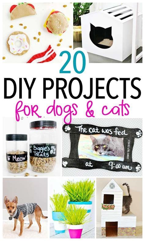 20 Awesome DIY Pet Projects to Make for Your Dog & Cat | Proyectos de bricolaje, Perros, Mascotas