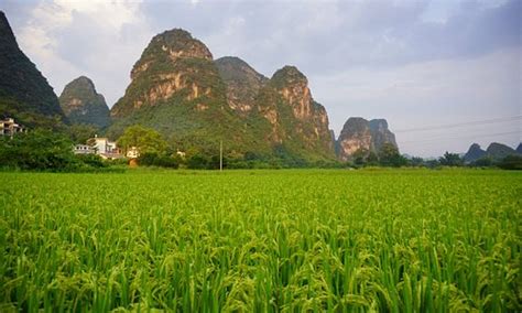 THE 10 BEST Things to Do in Yangshuo County - 2021 (with Photos) | Tripadvisor - Must See ...