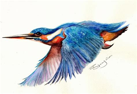 Kingfisher Bird Drawing at GetDrawings | Free download