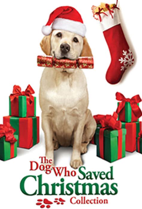 The Dog Who Saved Christmas Collection (2009-2015) — The Movie Database ...