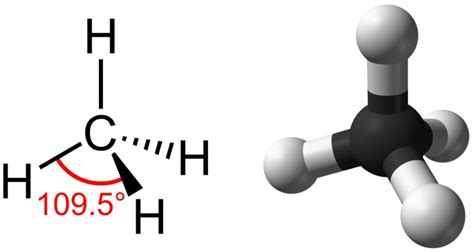 Carbon | OpenStax: Biology