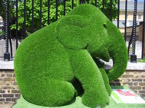 DIY Topiary Projects for the Garden • The Garden Glove