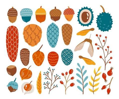 Acorn Vector Art, Icons, and Graphics for Free Download