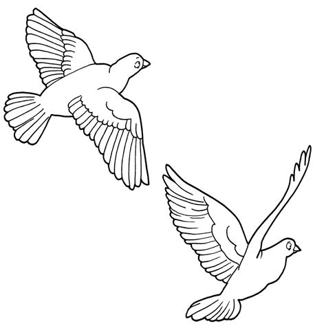 white flying bird clipart 10 free Cliparts | Download images on ...