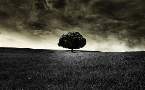 Dark Scenery Wallpapers - Top Free Dark Scenery Backgrounds ...