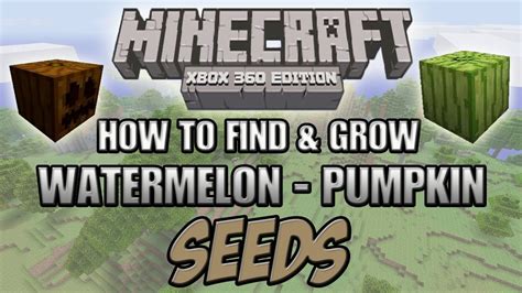 Minecraft (Xbox 360) How to Find & Grow Watermelon + Pumpkin Seeds ...