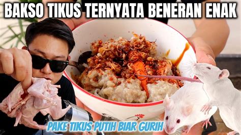 BUAT BAKSO DARI TIKUS PUTIH, ENAK URATNYA, TULANGNYA KRIUK KENYAL. - YouTube