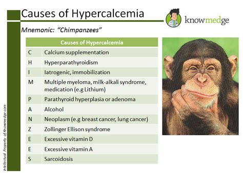 Medical Mnemonics: April 2014