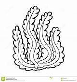 Seaweed coloring pages To Download And Print For Free sketch template