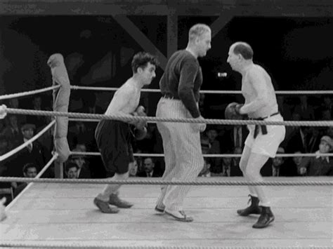 Boxing Funny GIFs - Find & Share on GIPHY