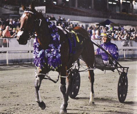 2017 NZ HARNESS RACING AWARDS - Harnessbred.com