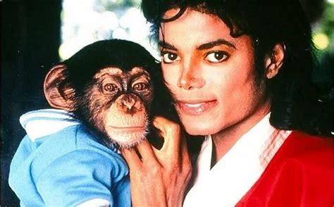 Michael Jackson. Bubbles: qué fue del chimpancé y cómo lo adoptó- Grupo ...