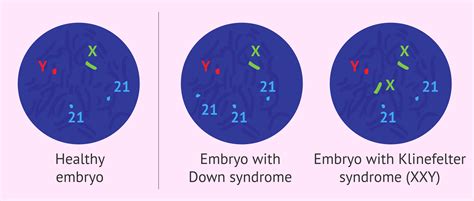 Fish Chromosomes