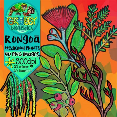 Rongoa Maori Medicinal Plant Clip Art