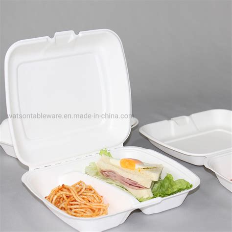 Compostable Food Container Manufacturer Sugarcane Takeaway Lunch Eco ...