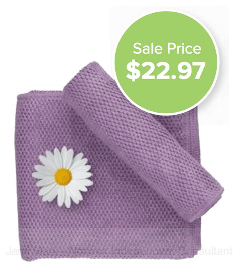 Norwex Kitchen Towel and Cloth Limited Edition Set (Eggplant) - April ...