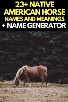 23+ Native American Horse Names & Meanings - Horse Name Generator