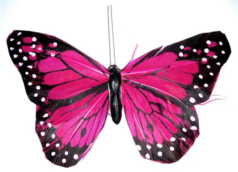 butterfly_pink by kuschelirmel-stock on DeviantArt