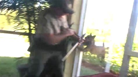 Rabid bobcat attacks wildlife officer | Fox News