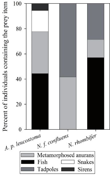 Diet composition of 18 western cottonmouths ( Agkistrodon piscivorus ...