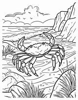 Maryland Coloring Pages  Fun & Free Print Now sketch template