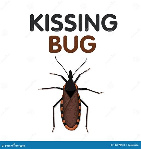 Kissing Bug, Chagas Disease Cartoon Vector | CartoonDealer.com #147072407