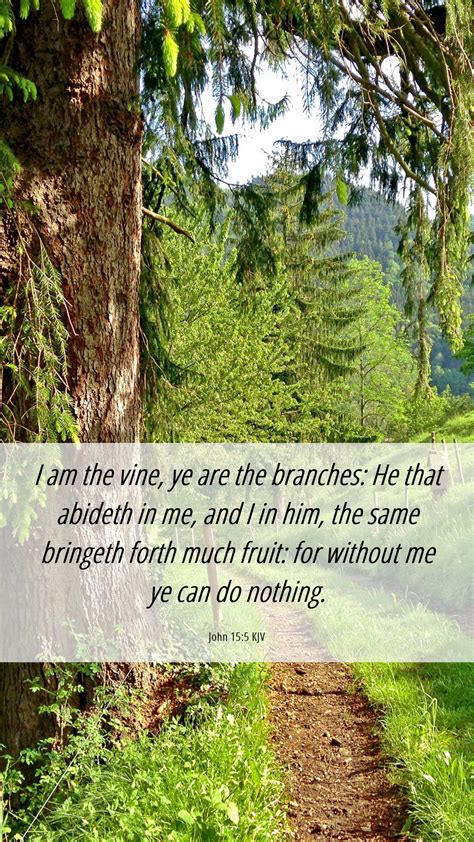 John 15:5 KJV Mobile Phone Wallpaper - I am the vine, ye are the ...