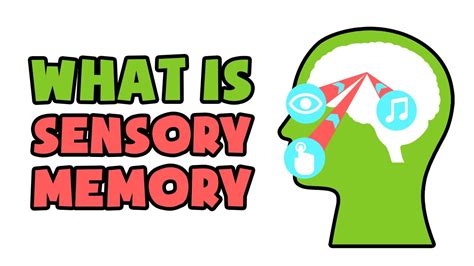 Sensory Memory