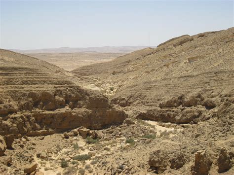 TD's blog: A trip into the Negev Desert