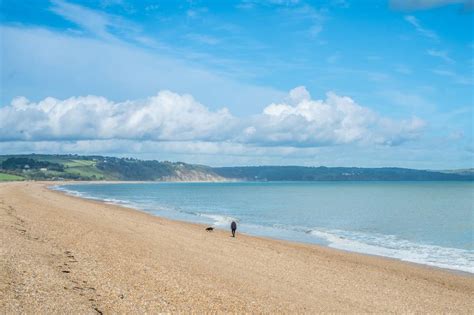 12 Best Dog-Friendly Beaches in Devon - Dog Friendly Retreats