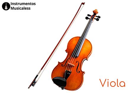 Viola