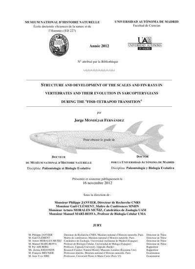 Structure and development of the scales and fin rays in vertebrates and their evolution in ...