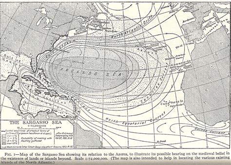 Connexion to History: Missing Pages from Legendary Islands of the ...