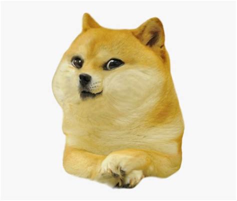 Baby Doge, HD Png Download is free transparent png image. To explore more similar hd image on ...