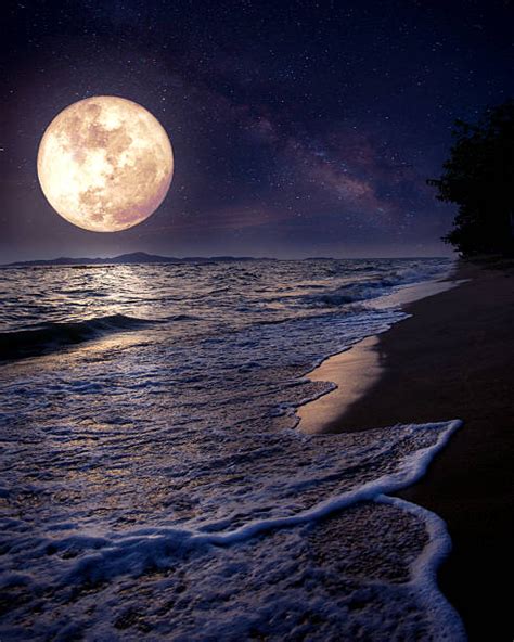 Best Fantasy Moonlight Beach Stock Photos, Pictures & Royalty-Free Images - iStock | Beautiful ...