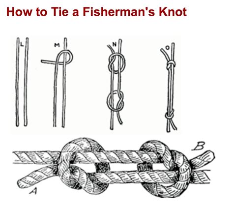 Flagpole Knot Diagram