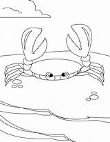Free Printable Crab Coloring Pages For Kids sketch template