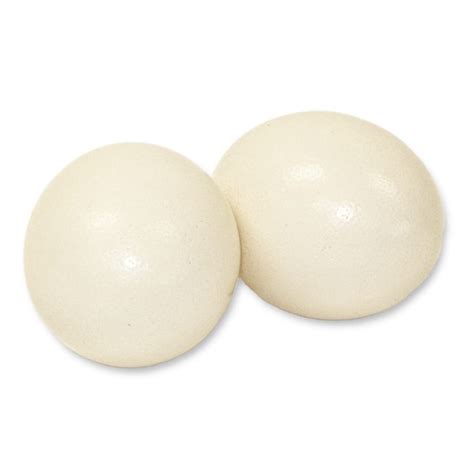 Natural Ostrich Eggs - Outpost Original