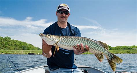 Hybrid Game Fish of The Northeast - On The Water