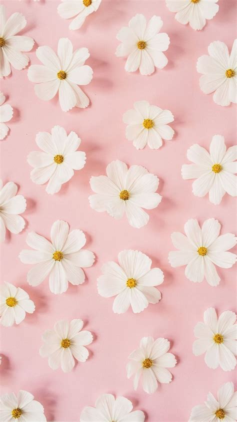 white flowers floating in the air on a pink background